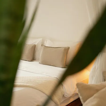 Big Tree Boutique Hotel-2