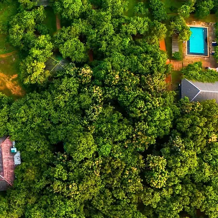 Pinthaliya Resort-2