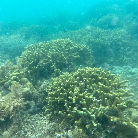 Dang Dang Balbago Beach-2