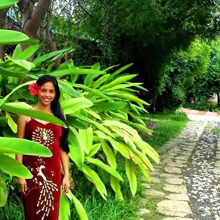 Alta Cebu Resort-2