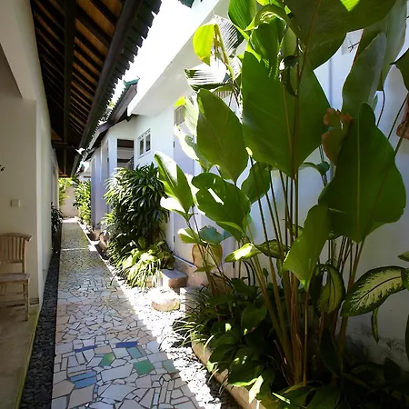Artemis Villa Hotel-3