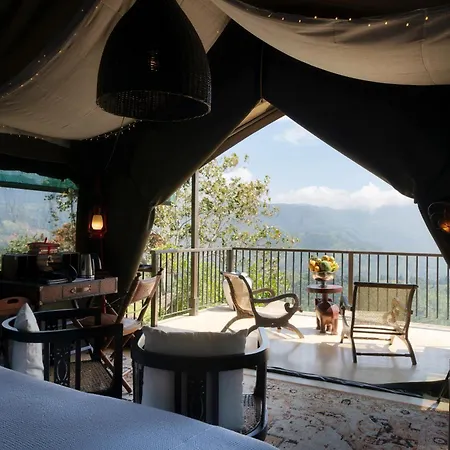 Madulkelle Tea And Eco Lodge-3