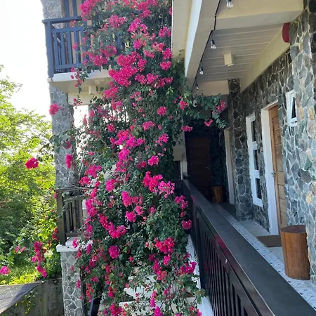 Balay Na Bato-2