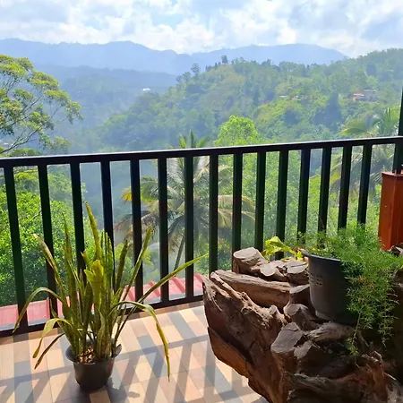 Shining Green View-3