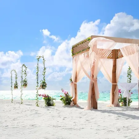 Kaani Palm Beach-2