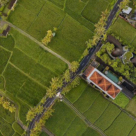 Paon Desa Ubud-3