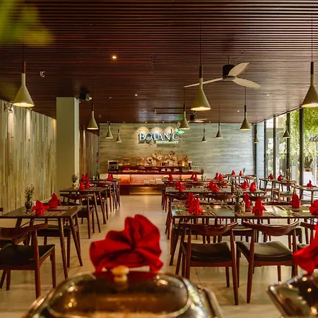 Mulberry Collection Silk Eco-2