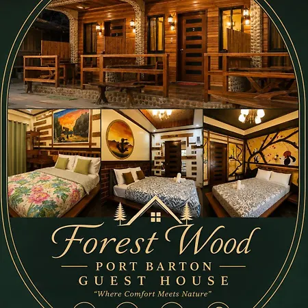 Forest Wood-Port Barton-3