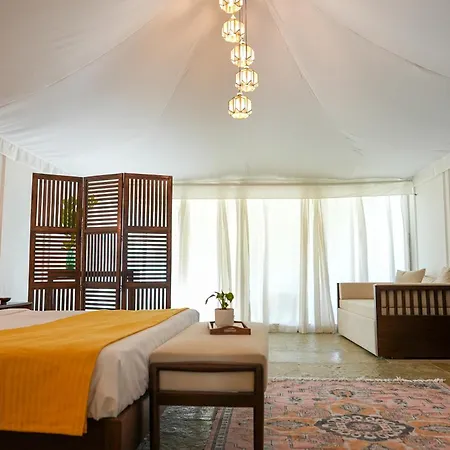 Orchard At Sarai - Luxury Tent Villas, Swimming Pool, Large Lawns, & Pet Friendly-2