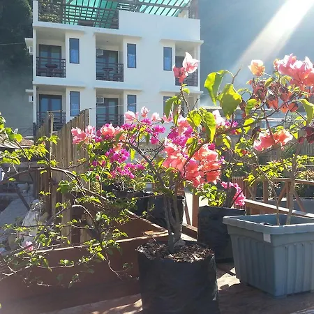 Dayunan Tourist Inn-2