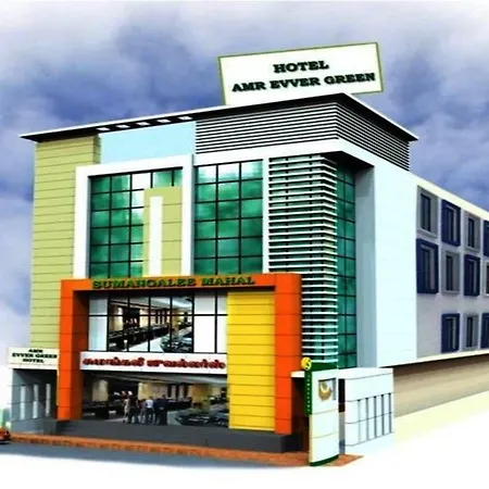 Hotel Amr Evvergreen-2