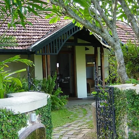 The Havelock Place Bungalow-3