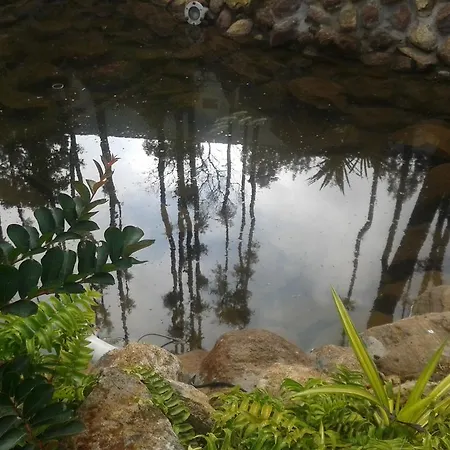 Happy Nest Yercaud-2