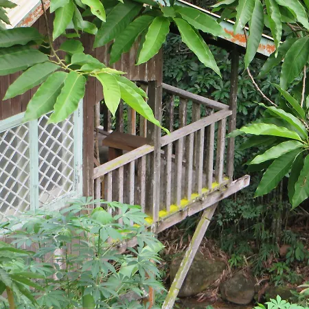 Nanga Damai Homestay-2