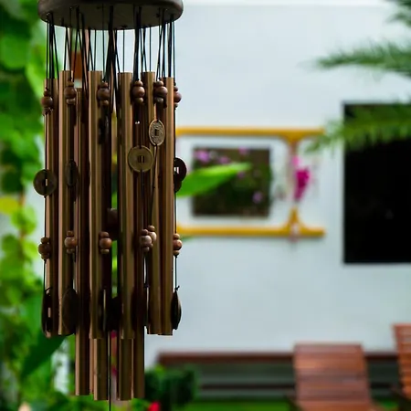 Swiss Paradise Boutique Villa-2
