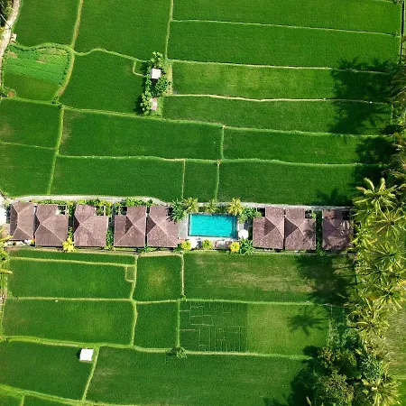 Pajar House Ubud Suite & Villas-2
