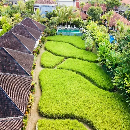 Abipraya Ubud-2