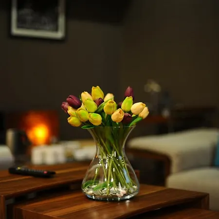 Villa Hotel Tbilisi-3