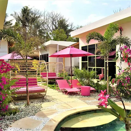 Flamingo-3