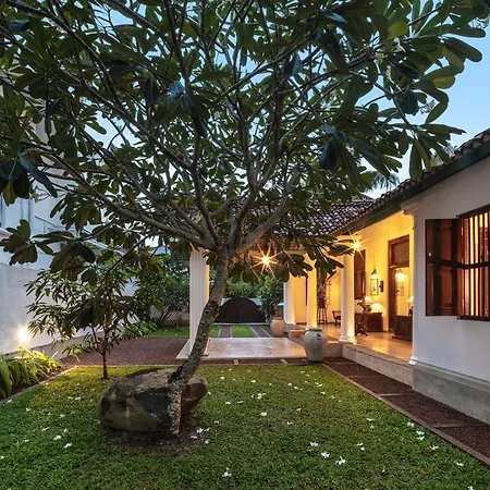 Green Casa-2