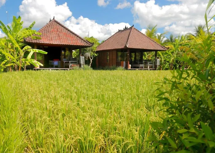 Keramas Surf Camp Hotel