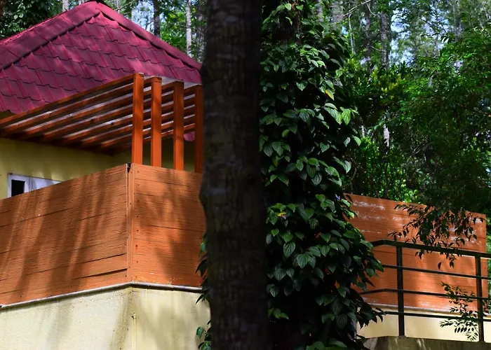 The Brook Resorts & Spa
