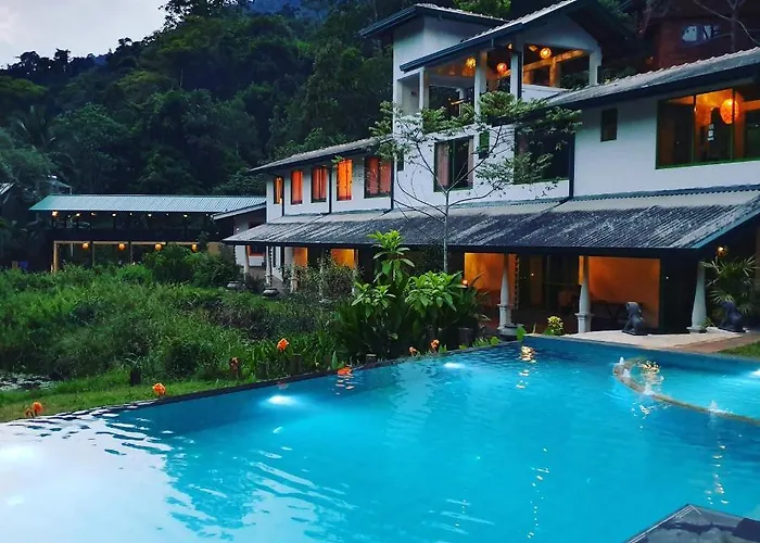 Sinharaja Forest Edge