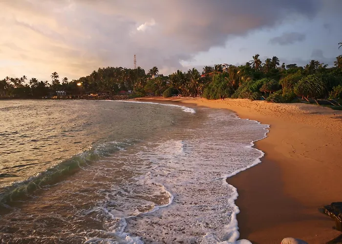 Turtle Bay Beach Resort Mirissa