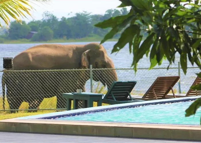 Pharo Lake Polonnaruwa