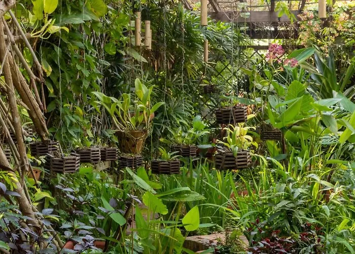 Through The Looking Glass Wellness Retreat Resort