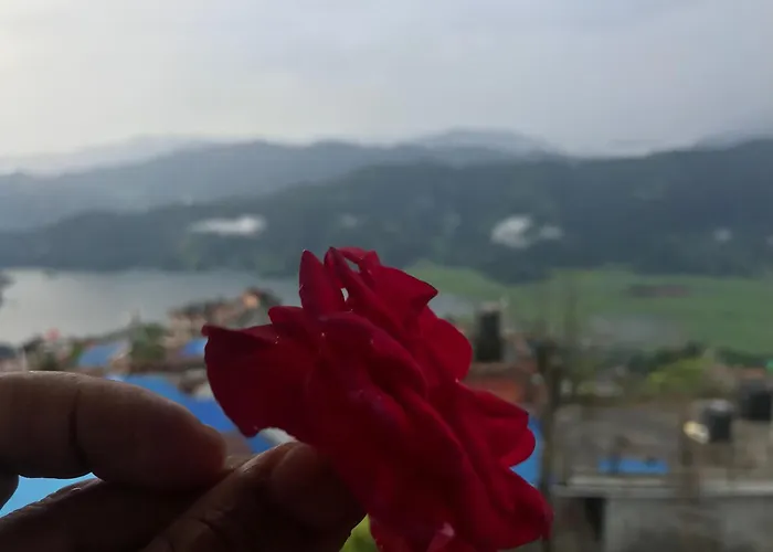 Hilltop Restaurant And Guesthouse Pokhara