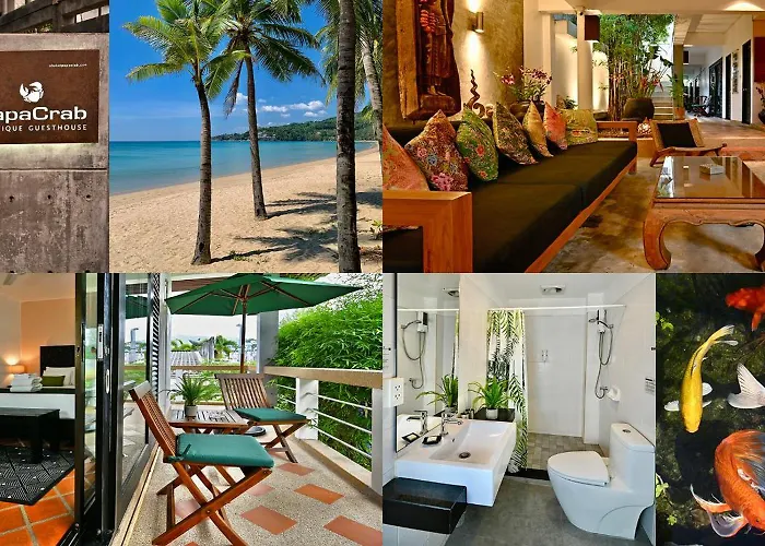 Papacrab Boutique Guesthouse
