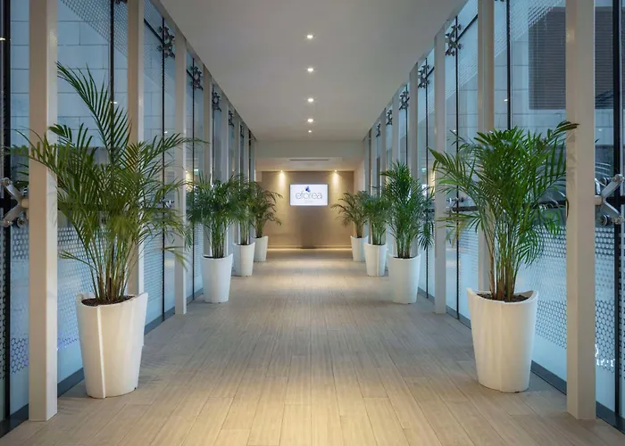 Hotel Hilton Batoumi