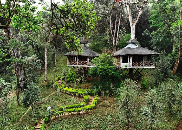 Nature Zone Jungle Resort