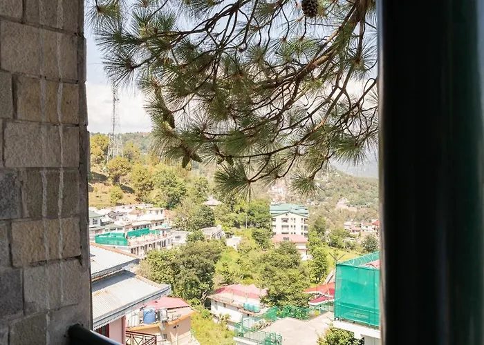 Hotel Kasauli Regency Stags Not Allowed