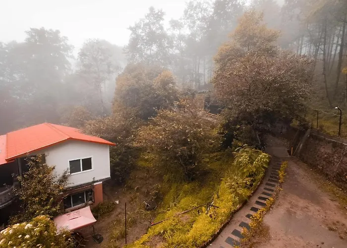 Hotel Mount Paradise