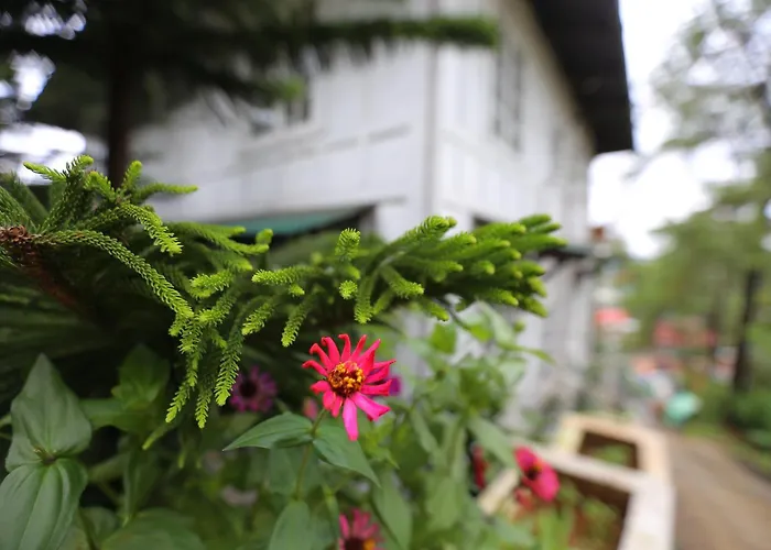 Casa Vallejo Hotel Baguio Baguio City