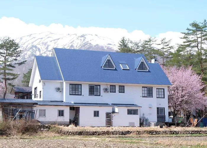 Hakuba Snow Fox