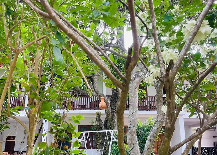 Little Paradise Tourist Guest House And Holiday Home