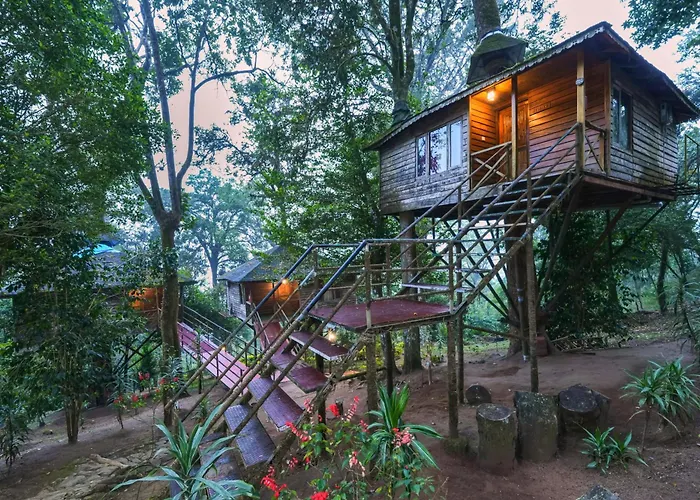 Nature Zone Jungle Resort
