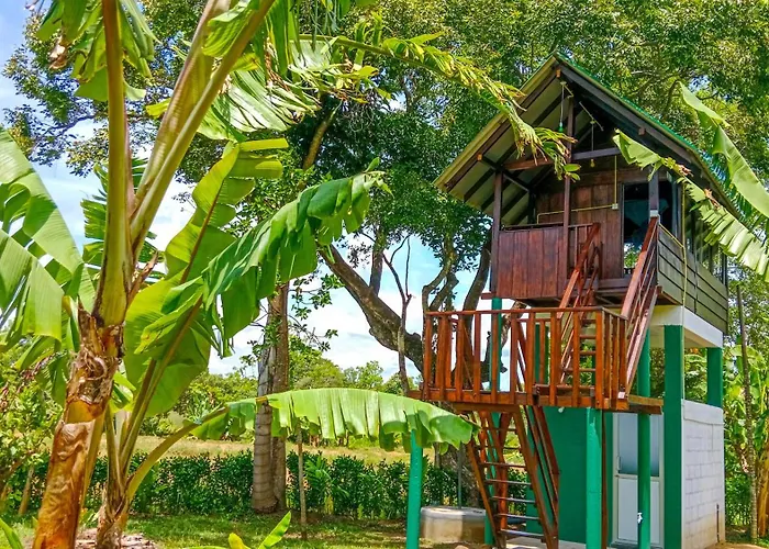 Pride Rock Villa & Tree House Sigiriya