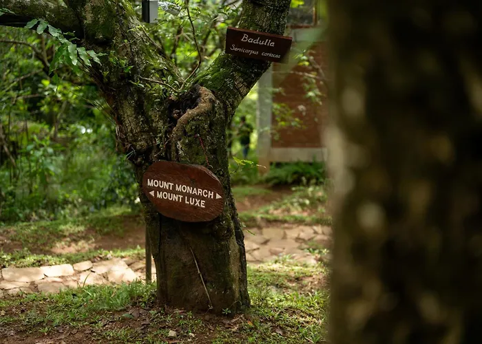 Treehouse Chalets - A Curated Experience Of Unique Waterfall Treks And Scenic Hikes Belihuloya