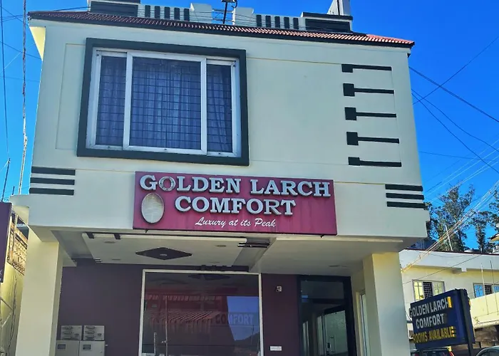 Golden Larch Comfort