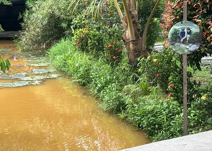 Steps Garden Resort