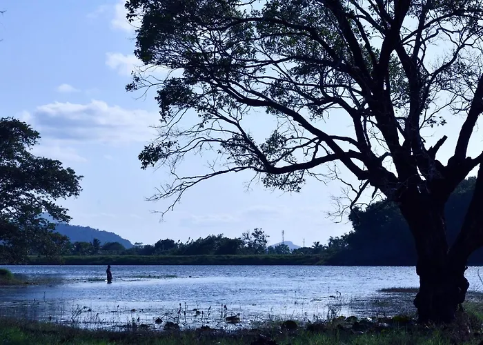 Hotel Mind Body And Soul Dambulla
