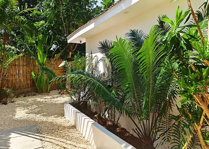 The Forest House