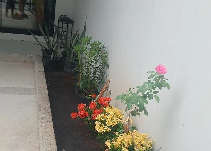 Baan Didi