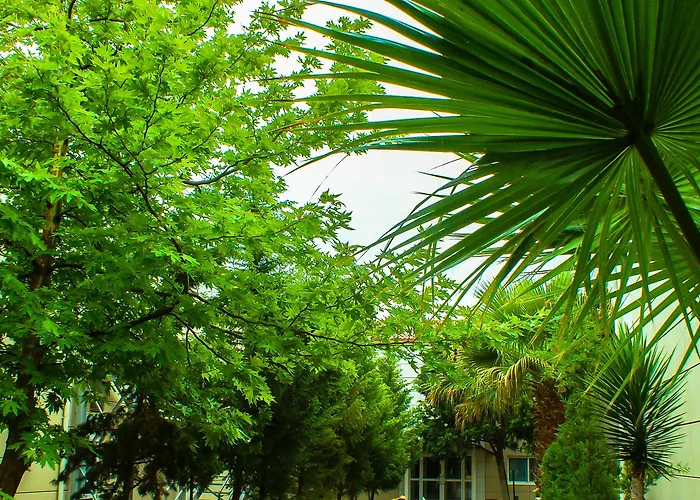 The Crescent Beach Hotel Baky