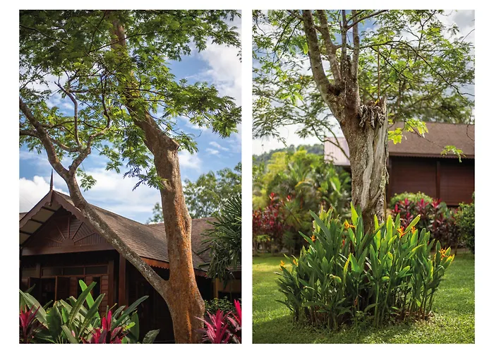 Sunset Valley Holiday Houses