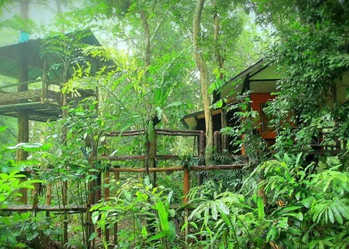 Khao Sok Tree House Resort